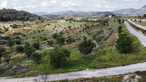 Terreno rural en Petrer. Zona Petrer